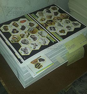 Neftat Kurabiye Katalog, Tuzlu kurabiye katalog, Tatlı kurabiye katalog, Unlu Kurabiye Katalog tasarım ve Baskı Hizmetleri